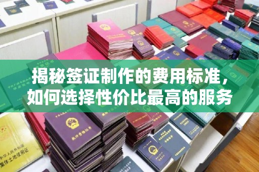蓬溪揭秘签证制作的费用标准，如何选择性价比最高的服务？